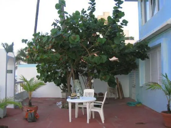 Aleli By The Sea Guest House San Juan 3*,  Puerto Rico